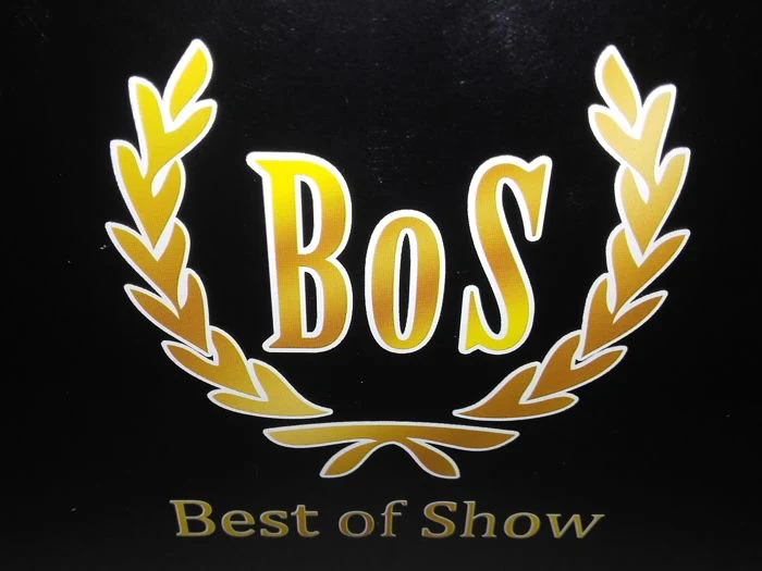 BoS Models
