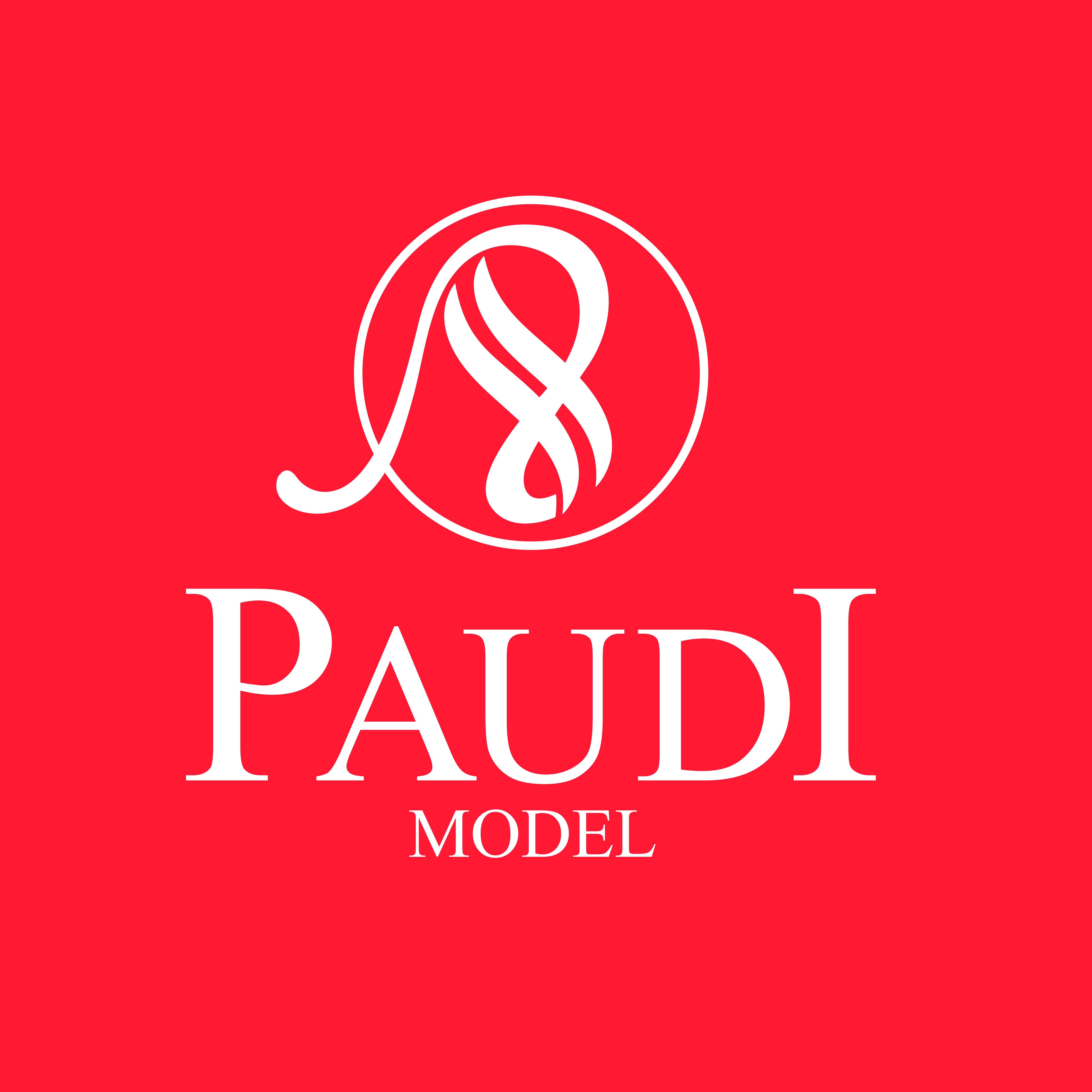 Paudi Models